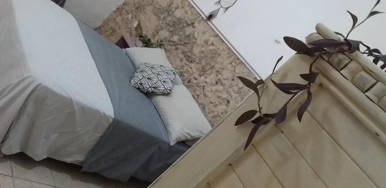 Akasha Auberge de jeunesse Mérida